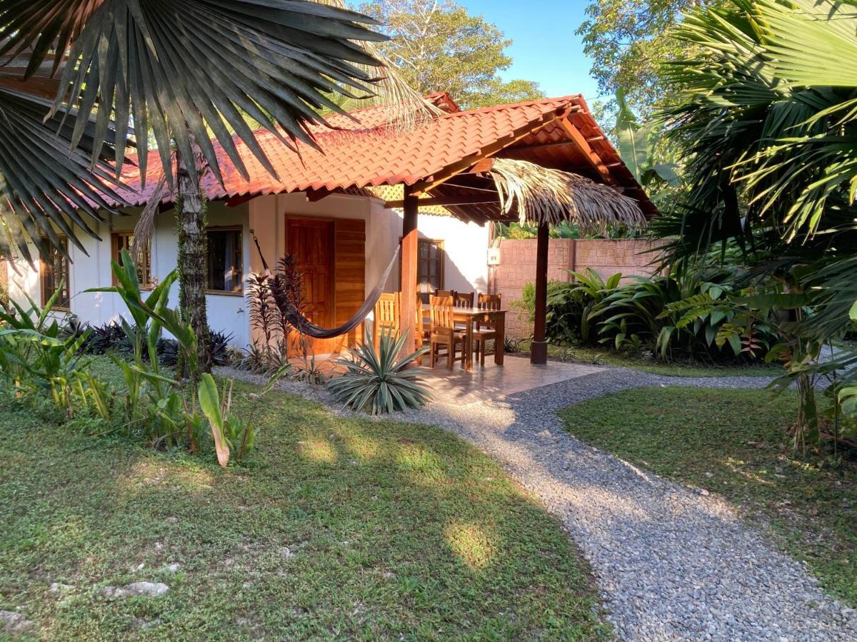 Pura Vida Vegana Hotel Cahuita Exterior photo