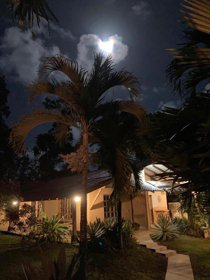 Pura Vida Vegana Hotel Cahuita Exterior photo