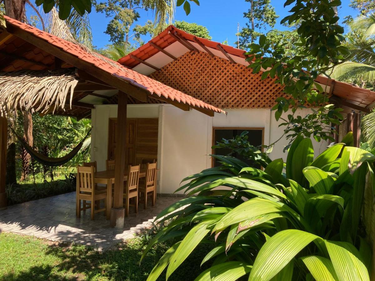 Pura Vida Vegana Hotel Cahuita Exterior photo